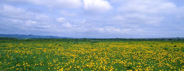 ママ友3人で国内旅行を計画中